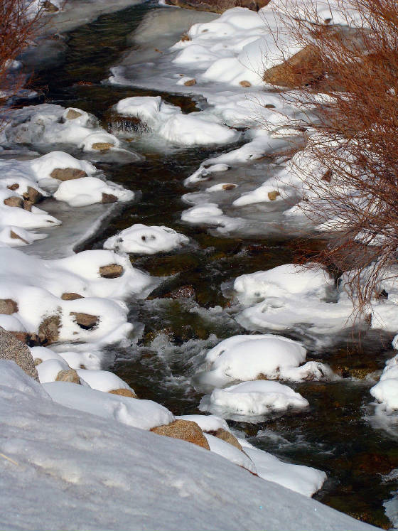 winter bldr creek